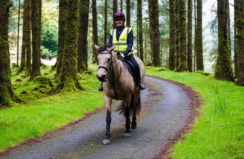 Ponterwyd Cabina | Forester's Retreat Glamping - Cambrian Mountains