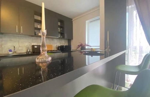 Timisoara Apartamento | ForestHouse 1 Apartment Free Parking