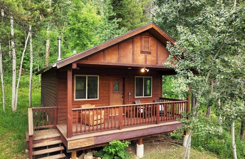 Victor Cabina | Forget Me Not Cabin in the Woods. Wood Stove, Wifi, W/D. Pet Friendly!
