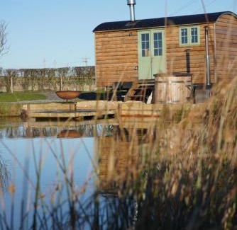 Donaghadee Otro | Four Acres Farm