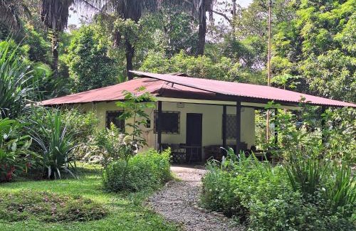 Puerto Jiménez Casa | Four Monkeys Eco Lodge Jungle & Beach - The House