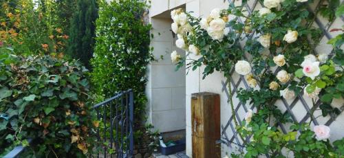 Charce-Saint-Ellier-sur-Aubance Casa | Maison de campagne entre Loire et vignes