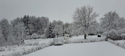 Francorchamps Apartamento | Francorchamps studio 8