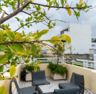 Florentin Hotel | Franky