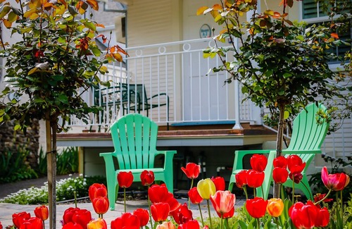 Calistoga Cabaña | Wifi gratuito y aparcamiento gratuito. Encantadora cabaña en la ciudad en California Wine Country