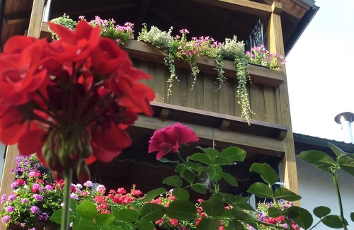 Altotting Apartamento | Friendly vacation apartment at the Linde- 4 persons, 60sqm, with balcony