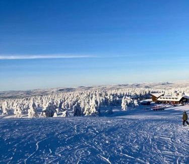 Overbyn Apartamento | Fristad Nature House
