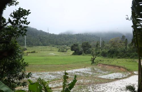 Madikeri Casa | Frolic Homes