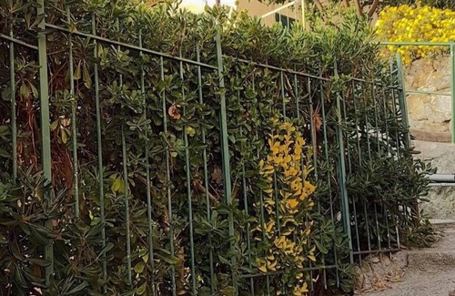 Bogliasco Apartamento | Frente al mar Casa con encanto. Jardín privado y barbacoa