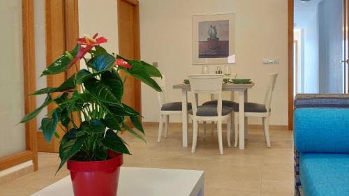 Puerto del Rosario Apartamento | Fuerteventura - Apartamento Ciudad 2.3