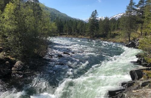 Skjaak Otro | Furuly Camping