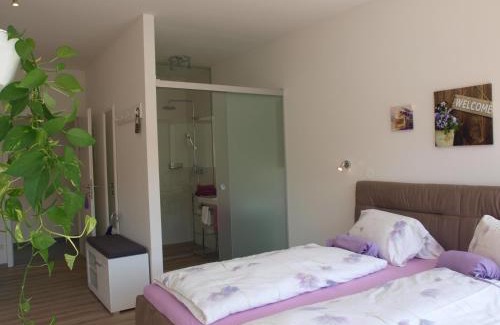 Weissenkirchen in der Wachau Casa | Gästehaus Haiminger ehemalig Schmelz