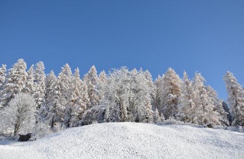 Pfafflar Casa | Gästehaus Klug