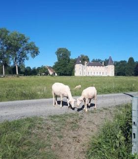 Neuville-les-Decize Casa | Gîte à la ferme, avec animaux, fromages et nature