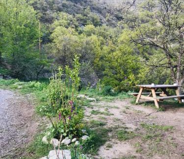La Robine-sur-Galabre Casa | Gîte à la ferme La Bedigue