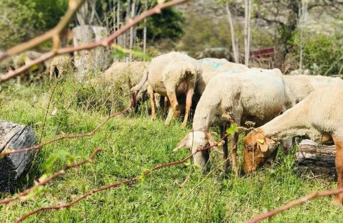 La Robine-sur-Galabre Casa | Gîte à la ferme Le Cabro