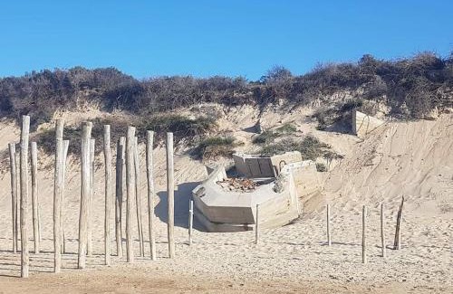 Oye-Plage Casa | Gîte 3 chambres neuf proche plage