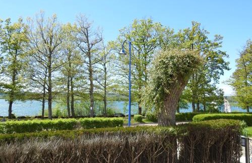 Villegusien-le-Lac Casa | Gîte au bord du lac avec terrasse, idéal pour la famille - FR-1-611A-17