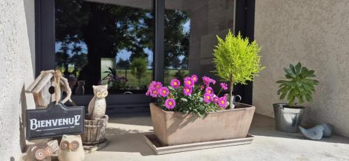 Bouzille Casa | Gîte Au Petit Bonheur