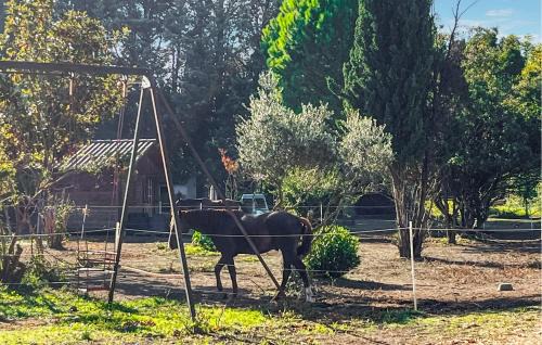 Cabannes Casa | Gîte Campagne