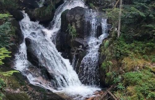 Saint-Priest-la-Prugne Casa | Gîte chaleureux avec terrasse en pleine nature - Parfait pour 4 personnes - FR-1-496-348