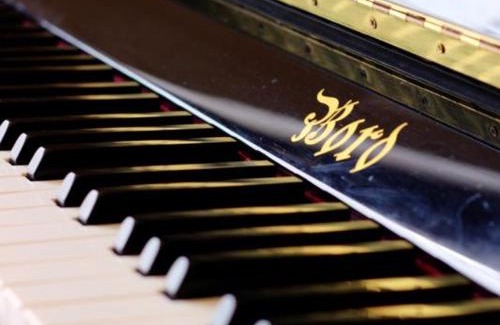 Saint-Nizier-de-Fornas Casa | Gîte charmant en pierre avec grand terrain - Capacité 6 pers. - FR-1-496-259