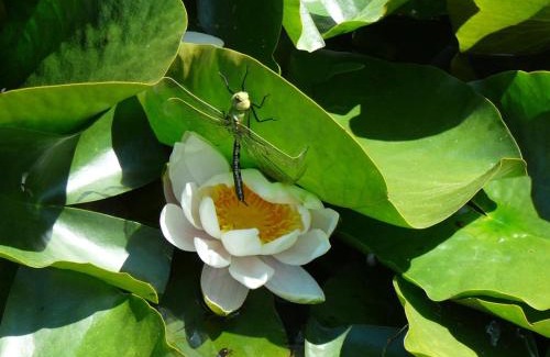 Pralong Casa | Gîte cosy à Pralong avec Internet, jusqu'à 4 personnes - FR-1-496-117