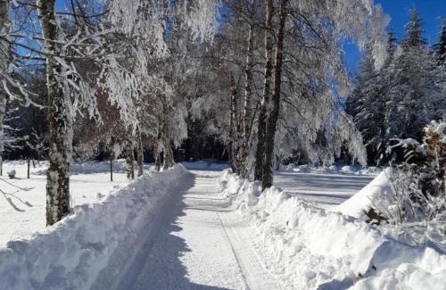 Saint-Regis-du-Coin Casa | Gîte cosy avec poêle à bois et vue sur campagne, 2 chambres, 4 personnes, idéal pour nature - FR-1-496-268