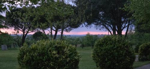 La Romieu Cama Y Desayuno | Gîte de Beausoleil