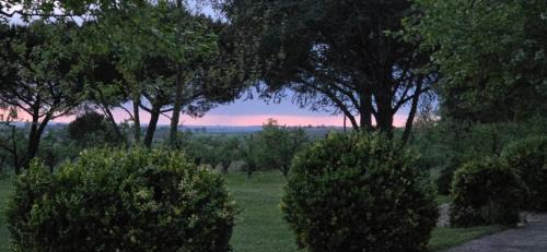 La Romieu Cama Y Desayuno | Gîte de Beausoleil