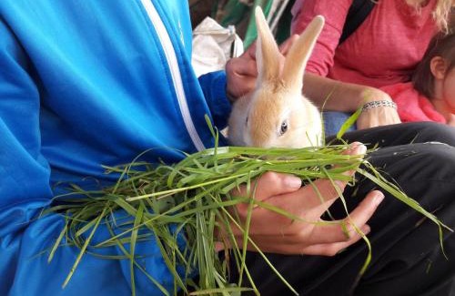 Saint-Julien-la-Vetre Casa | Gîte de campagne avec terrasse et jardin, animaux acceptés - FR-1-496-290