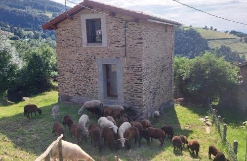 Saint-Chamond Casa | Gîte de charme à Saint-Chamond - Terrasse - Animaux admis - FR-1-496-324