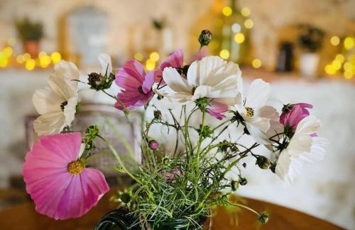 Montaigu-le-Blin Casa | Gîte de charme avec spa et cheminée, proche Vichy - FR-1-489-522