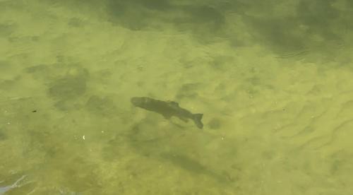 Sainte-Genevieve-les-Gasny Casa | Gîte De Vacances Jardin Monet Giverny Vernon