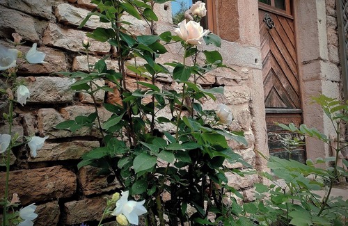 Rosay Casa | Gîte de l'Arbre-Lune, Jura craftsmanship