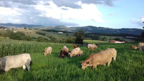 Haute-Rivoire Casa | Gîte de la Ferme des Bourettes
