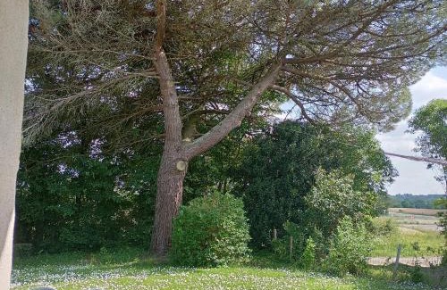 Frossay Casa | Gîte du Petit Gué