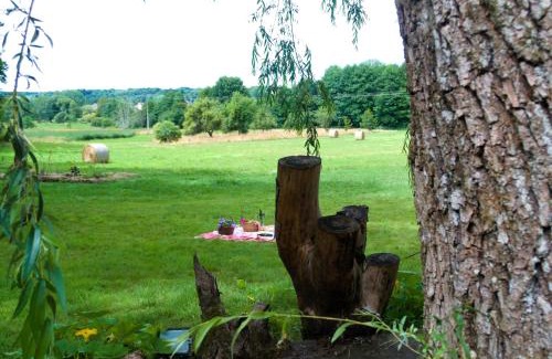 Docelles Apartamento | Gîte en pleine nature