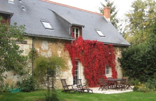 Saint-Benoit-la-Foret Casa | Gîte enchanteur 4 km de Chinon avec jardin privé, cheminée, salle de jeux et équipements bébé inclus - FR-1-381-188