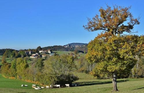 La Chabanne Casa | Gîte familial tout confort avec jardin et loisirs à proximité, idéal pour 12-14 pers. - FR-1-489-340