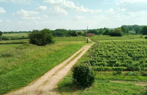 Castex-d'Armagnac Casa | Gîte ferme équestre avec piscine