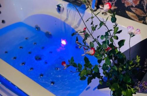 Montaigu-le-Blin Apartamento | Gîte intimiste avec bain à remous et jardin près de Vichy - FR-1-489-520