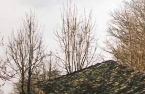 Cassagnas Cabaña | Casa rural (alquiler íntegro) La Cigale et La Fourmi para 4 personas