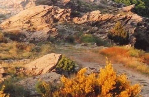 Cassagnas Cabaña | Casa rural (alquiler íntegro) La Cigale et La Fourmi para 4 personas