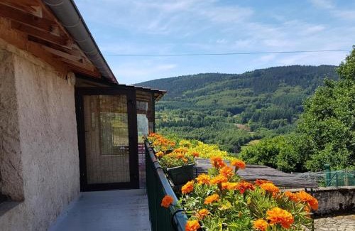 Laprugne Casa | Gîte Le Tilleul : Calme et Nature avec Poêle à Bois - FR-1-489-470