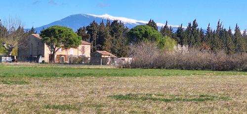 Monteux Casa | Gîte Mas de la Restanque