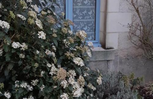 Luzille Casa | Gîte proche châteaux de la Loire, animaux acceptés - FR-1-381-303