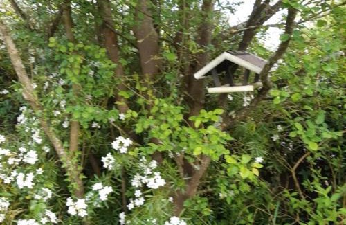 Luzille Casa | Gîte proche châteaux de la Loire, animaux acceptés - FR-1-381-303