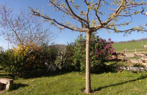 Neulise Casa | Gîte rural confortable avec terrasse, proche de Roanne - FR-1-496-376