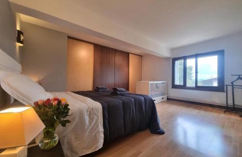 Saint-Galmier Casa | Gîte spacieux avec jardin fleuri et jeux - FR-1-496-300